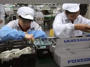 家用電器行業(yè)動(dòng)態(tài)與市場行情分析