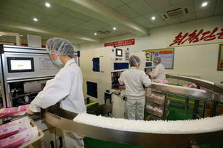 樂浪工廠展新顏 質(zhì)量?jī)?yōu)良的個(gè)人衛(wèi)生用品獲贊譽(yù)